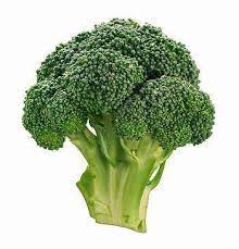 We did not find results for: Is Broccoli That S Turning Yellow Safe To Eat Quora