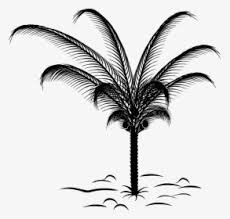 We did not find results for: Palm Leaf Png Images Free Transparent Palm Leaf Download Kindpng