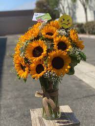 Sunflower In Oxnard Ca Casa Blanca Flowers