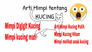 Dalam mimpi mereka diberi bayangan apakah itu baik atau arti bermimpi kucing putih memiliki arti yang tidak jauh berbeda dengan mimpi kucing hitam. Arti Mimpi Tentang Kucing Mimpi Melihat Anak Kucing Mimpi Kucing Masuk Rumah Mimpi Kucing Hitam Youtube