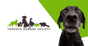 Dogs and cats need exercise, play and companionship every day. Toronto Humane Society