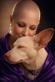 Wishing a beautiful day to chiweenies