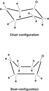 Sparknotes Carbohydrates Types Of Carbohydrates