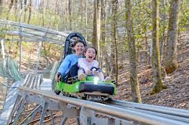 The vehicles are designed to carry two visitors in comfort but can be handled easily by one alone. New German Made Alpine Coaster Opens In Helen Forsyth News