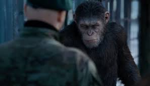 Writer and director matt reeves reveals how bad ape (steve zahn) sets up the future story for the apes franchise after this summer's war for the planet of the apes. War For The Planet Of The Apes Plugged In