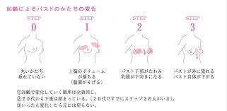 ボード new article のピン