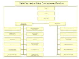 described state farm organization chart 2019