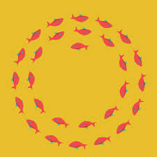 Go Your Own Way Swimming Gif By Al Boardman Find Share On Giphy Discover & share this animals gif with everyone you know. swimming gif by al boardman