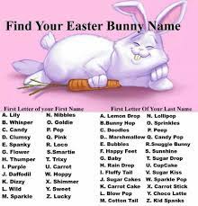 Easter Bunny Name Bunny Names Easter Humor Birthday Scenario