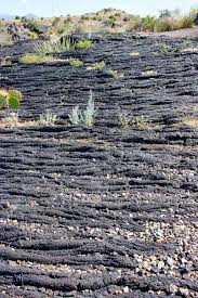 From a distance, valley of fires appears as barren rock but when you walk through the nature trail there are many varieties of flowers, cactus, trees and bushes typical of the chihuahuan desert. Valley Of Fires Carrizozo New Mexico Champagne Tastes