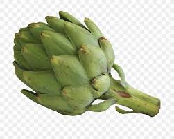 Artichokes, general gardening tagged with: Artichoke Vegetable Food Purxe9e Fruit Png 1722x1377px Artichoke Banana Banana Family Cooking Cynara Download Free