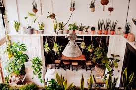 Maybe you would like to learn more about one of these? The Greens Coffee Plants Berlin Mitte Cafe Alte Munze3 The Golden Bun