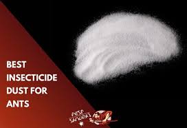 Crusader centro 14 oz centro 14 oz w/12″ extension bg long reach duster chris mcneil @ 9:39 am. Best Insecticide Dust For Ants Review Tips Pest Samurai