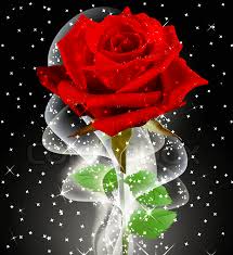 Sorry, chocolate gift set, 5x5in, 1 box (flowers prime). Red Rose Pic With I Love U Gif