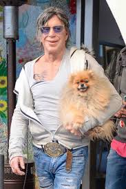 Image result for mickey rourke dog