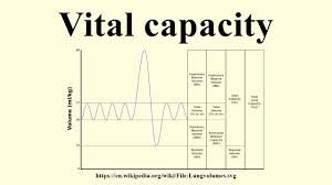 Image result for Vital Capacity