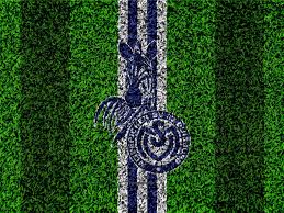 On this site you'll able to watch leicester city. Pin Von Otis B Driftwood Auf Msv Duisburg Msv Duisburg Duisburg Msv