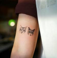 tattoo done by nandotattooer cat cattattoo gato gatos dovme fikirleri dovme dovme modelleri