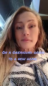 #moving #greyhound #bus #homeimprovement #fyp