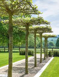 Pin By Cynthia Meyer On The List Garden Designers Landscape Design Waterfall Landscaping Garden Landscape Design