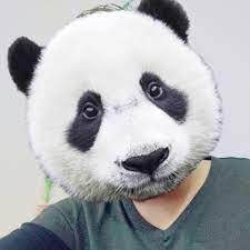 Morph Your Face Into An Animal Transform Your Photos With Many Different Morph Effects And Animal Faces To Choose F Animal Face Mask Animal Faces Animal Photo