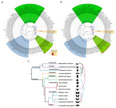 The coffee machine cleaners are suitable for all types of water because their manufacturers have utilized advanced scientific inventions. Genes Free Full Text Diversification Of Transposable Elements In Arthropods And Its Impact On Genome Evolution Html