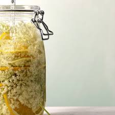 Holunderblutensirup Das Beste Rezept Essen Und Trinken