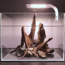 Flexi Mini Nano Tank Hardscape Hardscape Aquarium Design Aquascape Aquarium