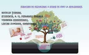 100%(1)100% found this document useful (1 vote). Strategii De Dezvoltare A Stimei De Sine La AdolescenÅ£i By On Prezi Next