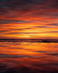 It Was A Magical Sunset Last Night In San Diego By Lostinthelitterbox Sandiego Sunset Blessed Grateful Sandiegosuns Sunset San Diego Places To See