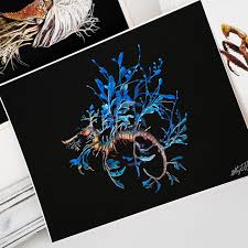 Image result for Pycreus elegantulus