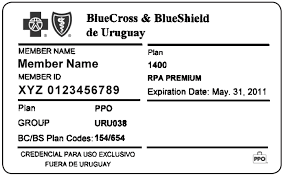 Https Www Ibx Com Pdfs Providers Claims And Billing Bluecard Guide Blue Member Id Cards Pdf