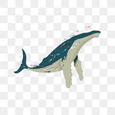 Check spelling or type a new query. Gambar Paus Png Vektor Psd Dan Clipart Dengan Latar Belakang Transparan Untuk Download Gratis Pngtree