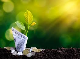 Globa lifestyle and advanced estate. Property Audit