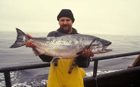 Fisherman Life Insurance » The Insurance Surgery