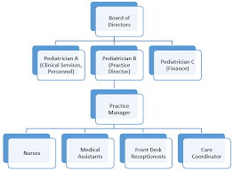 42 Perspicuous Nurse Organizational Chart