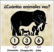 Nuestra colección presenta todo tipo de estilos de juego, desde acción hasta arcade y estrategia. Resultado De Imagen Para Juegos Mentales Dificiles Con Respuestas Ilusiones Opticas Ilusiones Animales