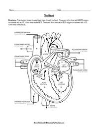 Heart diagram coloring sheet page anatomy sithlord co. Pin On Medical Printables