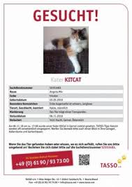 Erstellen,,, katze suchplakat, suchplakat für katzen erstellen, suchplakat, erstellen von suchplakat, augen verklebt katze, kostenlose vorlage suchplakat katze. Tier Vermisst Tier Zugelaufen Tiersuchzentrale Osterreich