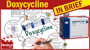 How long does it take doxycycline to work on an uti? Doxycycline Vibramycin What Is Doxycycline Used For Dosage Side Effects Precautions Youtube