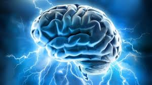 Konsep otak kanan dan otak kiri pemikiran yang dikembangkan dari penelitian pada akhir tahun 1960 dari psychobiologist amerika roger w sperry. Apa Perbedaan Otak Kanan Dan Otak Kiri