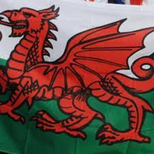 Cronistas medievais fornecer a lenda dos dragões vermelhos e brancos, em uma caverna sob uma montanha no país de gales, lutaram um contra o. Pais De Gales Paisgales Twitter