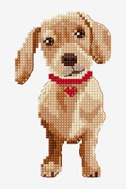 Go cross stitch crazy with our huge selection of free cross stitch patterns! Dachshund Pattern Free Cross Stitch Patterns Dmc