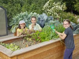 Die garten tulln ist von april bis oktober der hauptanziehungspunkt in tulln für gartenfreunde. Die Garten Tulln Donau Schulportal