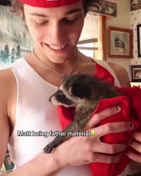 My acc is slowly becoming a matt fan page#sturniolotriplets #sturniolos  #mattsturniolo #raccoon #babyraccoon #adorable #fyp #foryou #viral #xyzbca