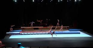 Confira todas as notícias sobre os jogos olímpicos e paralímpicos tóquio 2020, que foram transferidos para 2021 por causa da pandemia do coronavírus Ginastica Artistica Feminina