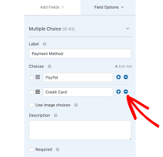 But it's also easy to overpay when making manual payments. How To Allow Users To Choose A Payment Method On Your Form