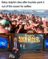 Oct 29, 2015 · so, what's wrong with using click here links? Dr Phil What S Wrong With People Memes Gifs Imgflip