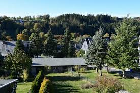 Lieber Ein Kleines Gemutliches Hauschen Als Ein Grosses Luftschloss In Thuringen Wurzbach Einfamilienhaus Kaufen Eba Gemutliches Haus Haus Einfamilienhaus
