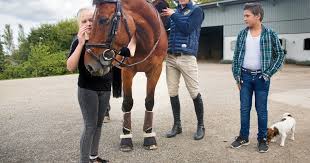 Fram till år 2001 har gårdens största verksamhet varit fruktodling, fruktodlingarna är kvar men nu är gårdens största verksamhet hopphästar. Nar Det Galler Ar All In Alltid Som Bast Svd